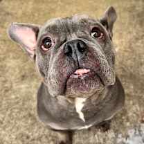 Thumbnail photo of Minibus ~ Coming Soon! #2