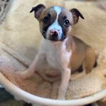 Thumbnail photo of PJ #1