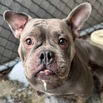 Thumbnail photo of Minibus ~ Coming Soon! #3