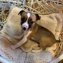 Thumbnail photo of PJ #3