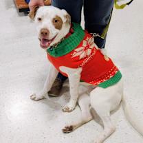 Thumbnail photo of Carlos #4