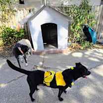 Thumbnail photo of Juliet #4