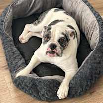 Thumbnail photo of Lucy #2