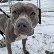 Thumbnail photo of Gus #2