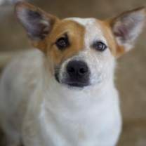 Thumbnail photo of Journi #3