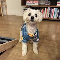 Thumbnail photo of Mango #3