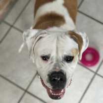 Thumbnail photo of Astrid #1