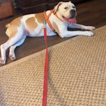 Thumbnail photo of Astrid #2