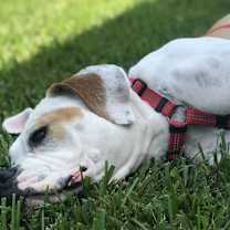 Thumbnail photo of Astrid #4