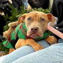 Thumbnail photo of Wyatt #1