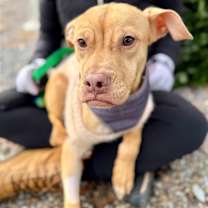 Thumbnail photo of Cody #1