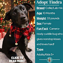 Thumbnail photo of Tindra #1