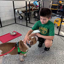 Thumbnail photo of Biscotti #3