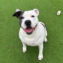 Thumbnail photo of Tonya #1