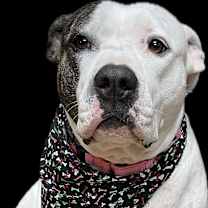 Thumbnail photo of Tonya #4