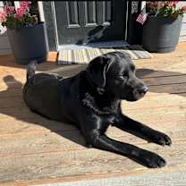 Thumbnail photo of Kai #1