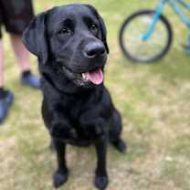 Thumbnail photo of Kai #4