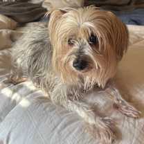 Thumbnail photo of Zach KA #3