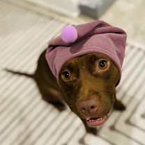 Thumbnail photo of Cindy Lou #3