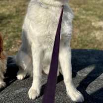 Thumbnail photo of Alena KA #1