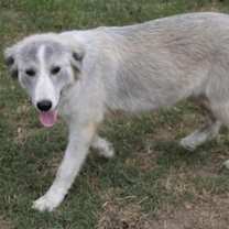 Thumbnail photo of Alena KA #3