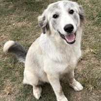 Thumbnail photo of Alena KA #4