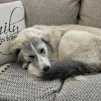 Thumbnail photo of Alena KA #2