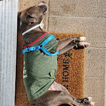 Thumbnail photo of Eve #4