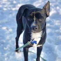 Thumbnail photo of Dakota #3