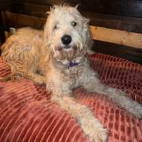 Thumbnail photo of Skittles  #1