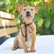 Thumbnail photo of Bullseye #1