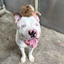 Thumbnail photo of Keller #1