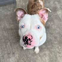 Thumbnail photo of Keller #3