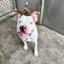 Thumbnail photo of Keller #4