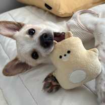 Thumbnail photo of Jerry #1