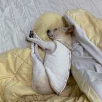 Thumbnail photo of Jerry #2