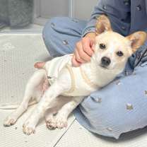 Thumbnail photo of Jerry #3