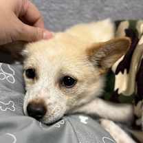 Thumbnail photo of Jerry #4