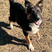 Thumbnail photo of Sophia KA #1