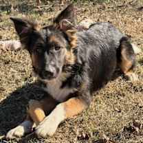 Thumbnail photo of Sophia KA #3