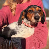 Thumbnail photo of Bella KA #2