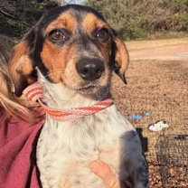 Thumbnail photo of Bella KA #3