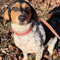 Thumbnail photo of Bella KA #4