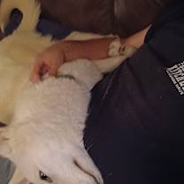 Thumbnail photo of Lazlo #2