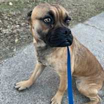 Thumbnail photo of 59983201 #1