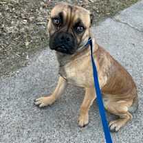 Thumbnail photo of 59983201 #2