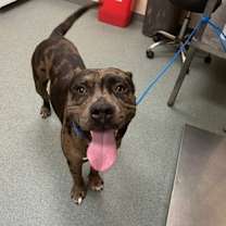 Thumbnail photo of Chase #3