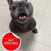 Thumbnail photo of Veva #3