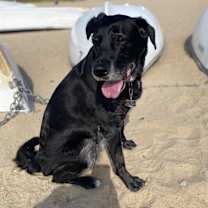 Thumbnail photo of Rosie Evelyn #1