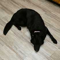 Thumbnail photo of Ella #1